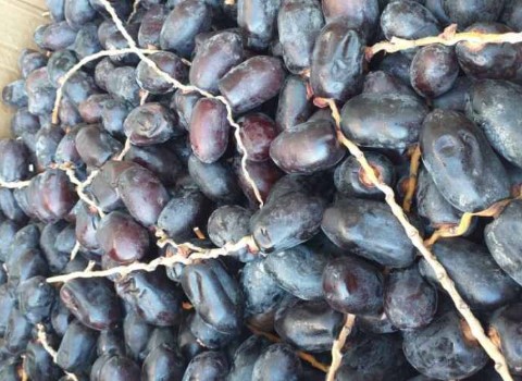 تصویر 4 از خرید و قیمت خرما مضافتی خوشه ای + فروش صادراتی